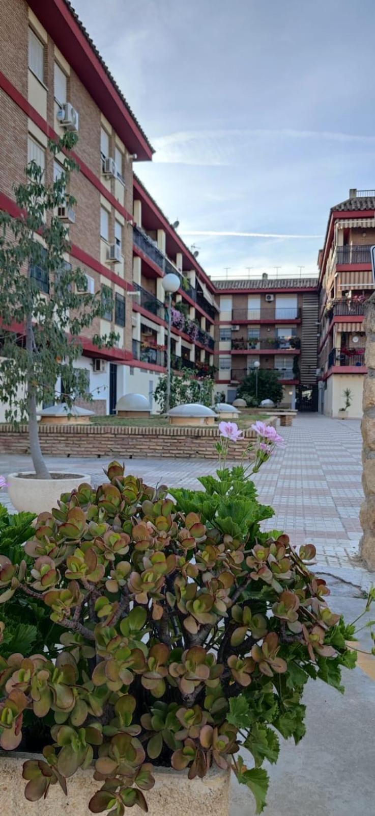 Loft A La Verita River, Parking Free Kordoba Zewnętrze zdjęcie